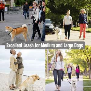 OEM Bergbeklimmen Reflecterende Touw Hondenriem 6 ft Lange Ondersteunt De Sterkste Trekken Grote en Middelgrote Honden - Product Image 5