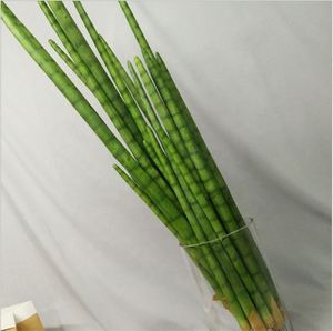 E-3120 fabbrica di grandi vasi pianta per la vendita all'aperto pianta artificiale serpente erba <span class=keywords><strong>Bonsai</strong></span> per la casa - Product Image 4