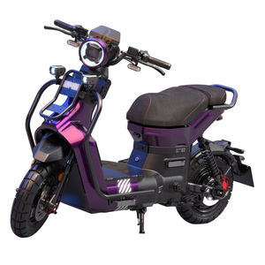 Motocicleta de Largo Alcance para Adultos, Motocicletas de Turismo, Motor de 2000W, Batería de 60V30AH, Capacidad de Carga de 250kg - Product Image 1