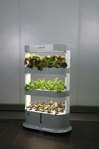 Irrigation Hydroponics Equipment PP Material Hydroponics Agricultural Greenhouse Growing Vegetable Planter - Product Image 3