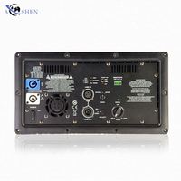Module amplificateur de puissance 1000W classe D professionnel pour haut-parleur subwoofer 40 xlr équilibré importé
