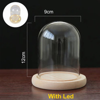 Kubah kaca dengan dasar kayu dan lampu led, kaca kubah dengan bel mawar jar kubah kaca