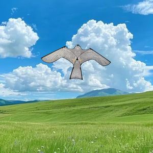 JUSTAR Meilleure vente Scarer Hawk Kite Anti Pigeon Scarecrow Bird Scarer Kite Repeller - Product Image 2