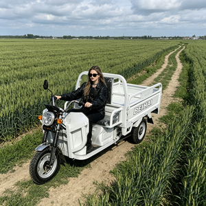 2026 BEIHAI Tricycle Supercar à Trois Roues Économique Mini 60V 2000W Scooter Tricycle Passager à 3 Roues pour Adultes - Product Image 1