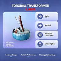 Transformateur d'isolement toroïdal monophasé à enroulement en cuivre de haute qualité, 50W-5000W, entrée 220V, sortie 12V, pour amplificateur audio