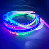 Lampu Strip Led fleksibel RGB tegangan rendah 24V dengan Program Madrixs