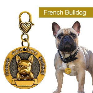 Chiot chat ID nom étiquettes chien ID étiquette gravé collier accessoires chiens colliers pendentifs métal Pet chien étiquettes personnalisées - Product Image 5
