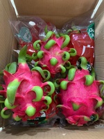 Verse Dragon Fruit Vietnam Ninh Thuan Graad AA Wit Vlees 50 Dagen Houdbaarheid Exportnormen Landbouw Tropisch 100%