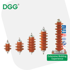 電気ライン安全のためのDGGライトニングアレスター11kV屋外ポリマータイプ - Product Image 1