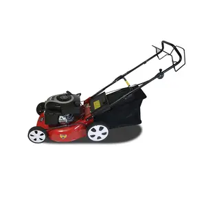 Hot selling Lawn mower four-in-one self-propelled gasoline lawn aluminum lawn mower and BS engine key start