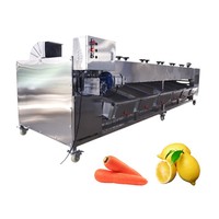 Volledig automatische rollen sorteermachine voor aardappelen, wortelen, uien, appels en andere groenten en fruit.