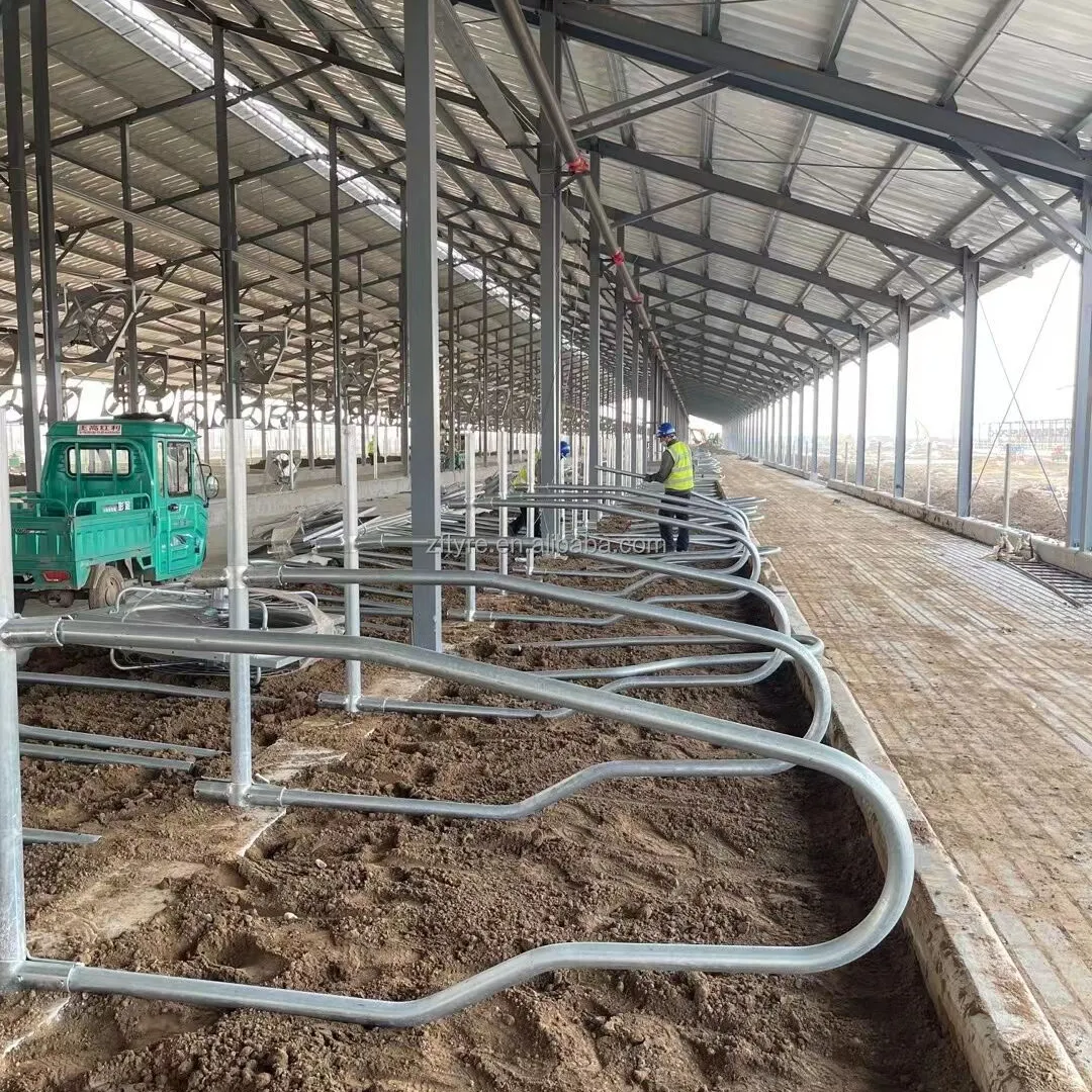 Cattle Self-locking Headlock Free Stalls For Sale Cow Stall Design