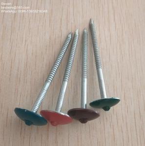 Clavos fabricantes/honesto a los niños y personas mayores/precio de fábrica directo <span class=keywords><strong>sin</strong></span> <span class=keywords><strong>intermediarios</strong></span> - Product Image 4