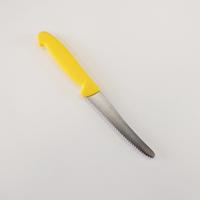 Couteau à steak HACCP en acier inoxydable de 11 cm, à lame ajourée dentelée, avec manche PP ambidextre, pour la restauration commerciale et la cuisine