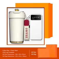 Ensemble cadeau promotionnel très vendu, logo personnalisé, mug en acier inoxydable 450 ml / batterie externe 10000 mAh, style professionnel, cadeau multicolore
