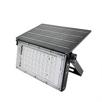 Projecteur LED portable 50W pour extérieur, jardin et aménagement paysager, IP65, éclairage solaire, télécommande, capteur, ABS, aluminium, ROHS