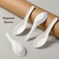 Cuillère jetable en bagasse de canne à sucre blanche, biodégradable et compostable, pour soupes et desserts