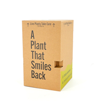 Venta al por mayor de cartón corrugado reciclable tamaño personalizado logotipo planta de embalaje flor entrega cajas de envío plegable