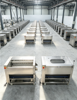 Nouvelle Offre 2026 : Équipement Industriel de Nettoyage et d'Épluchage de Légumes Roulants (Oignons, Pommes de Terre) avec Brosse Rotative – Machine à Éplucher et Laver les Légumes