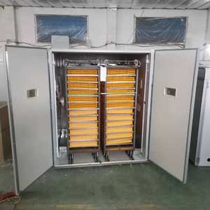 Máquina automática de incubação de ovos de galinha e ovos - Product Image 3