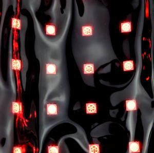 El Dispositivo de fisioterapia para terapia de luz roja para mascotas es portátil para la recuperación de lesiones, curación de heridas y curación de fracturas en gatos y perros - Product Image 5