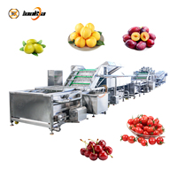 Waslijn voor cherrytomaatjes, passievruchten, olijven, pruimen, abrikozen; wasmachine met bubbels; fruitreinigingslijn