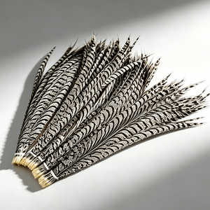 Plume de faisan argentée longue et brillante pour la Saint-Valentin, matériaux pour vêtements et bricolage, carnaval exotique, création artistique, décoration de mariage - Product Image 1
