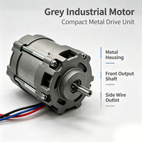 Motor DC Brushless Kecil HY 12V 24V 48RPM untuk Kipas Mesin Pemotong Rumput dan Sepeda Motor dengan Diameter 60mm dan 13000RPM