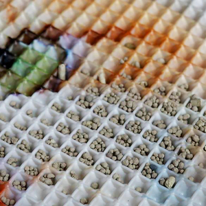 Saugfähige, wiederverwendbare, waschbare Welpenunterlagen, Hundetrainingsunterlagen, wasserdichte Unterlage, Spielmatte für Haustiere, Bodenmatte für Welpen, Hundekotmatte - Product Image 6