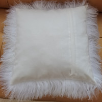 Luxe décoratif en peau de mouton fourrure jeter taie d'oreiller Tibet agneau fourrure housse de coussin pour canapé canapé chambre