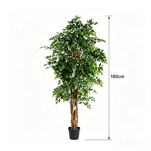 Planta Artificial de Banyan en Miniatura, Realista, Sin Mantenimiento, Follaje Artificial Perenne para Decoración de Paredes en el Hogar/Oficina - Product Image 2