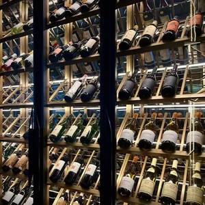 Tủ rượu treo tường bằng thép không gỉ cao cấp, dung tích lớn, điều khiển nhiệt độ, đèn LED, thân thiện với môi trường, sản xuất theo đơn đặt hàng (OEM) - Product Image 4