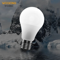 WOOJONG – ampoule LED A 5W7W/9W/10W/12W/15W/18W/20W/24W E27/B22, prix d'usine, vente en gros, éclairage LED