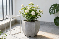 Pot de fleurs hexagonal moderne en ciment, résistant aux intempéries, pour jasmin