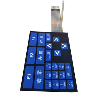 Tùy chỉnh LEXAN bàn phím tự dính dập nổi chuyển đổi màng chính - Product Image 2