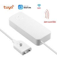 Vanne Tuya WIFI en acier inoxydable DN15 1/2'' avec 2 capteurs d'eau pour le contrôle du volume d'eau et l'arrosage programmé