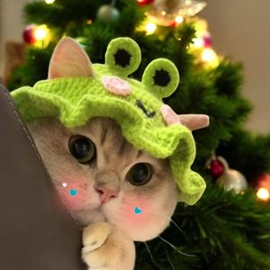 Gorro de Lana Tejido Elástico y Elegante para Perros y Gatos, Ideal para Otoño e Invierno, Decoración para Sesiones de Fotos, Accesorios para Mascotas Pequeñas, Navidad - Product Image 5