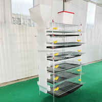 Cages d'élevage de cailles à 6 niveaux pour la production d'œufs, type H, en treillis métallique, cages en batterie pour cailles