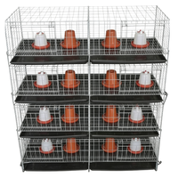 Cage à poulets de type H, conception automatisée pour gagner de la place et améliorer la productivité de la ferme