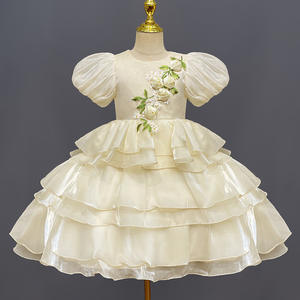 Kid Jurk Voor Meisjes 3-10y Tule Borduurwerk Prinses Kostuum Verjaardagsfeest Bruiloft Kinderen Prom Jurk Tutu - Product Image 4