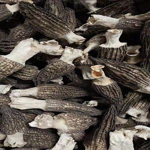 Moules en mohm noirs secs, 1-2 pouces, 2.5-5 cm, de haute qualité, pour le travail, à prix bas, promotion - Product Image 3