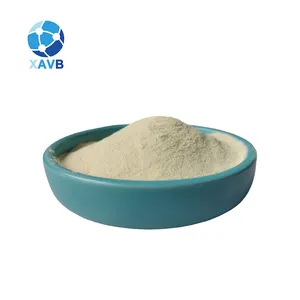 Food Grade Sodium Alginate Powder with Wholesale Price in Bulk for