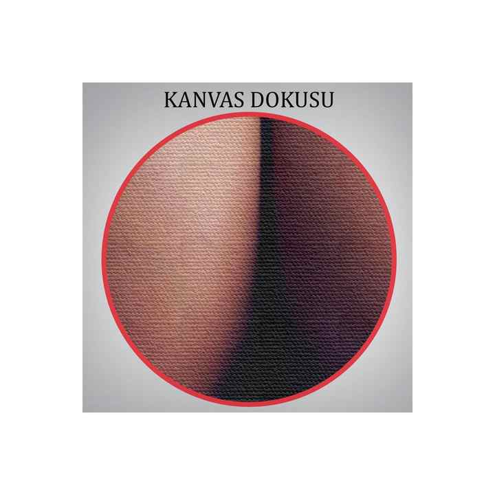 Special Design, Decorative Printing Erotic Sensual Naked Woman Canvas Painting-5296