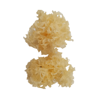 Champignons comestibles de Chine en gros Tremella Fuciformis champignons argentés champignons blancs séchés pour la nourriture