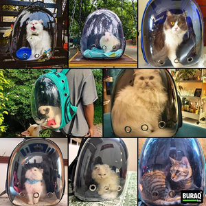 Wholesale ASTRO PRO <b>Cat</b> <b>Backpack</b> Durable Polyester Pet Travel Carrier <b>Backpack</b> with Transparent Viewing Window for <b>Cats</b> - Product Image 6