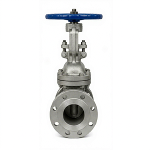 Válvula de Compuerta Manual con Brida, Volante Azul y Vástago Ascendente, Metálica Industrial - Product Image 1