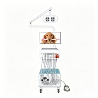 Máquina Dental Veterinaria de Velocidad Ajustable, Soporte para Dos Piezas de Mano, Ideal para Perros y Gatos