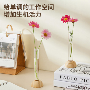 Transparent Flower Vase Plastic Round Hydroponic Container Modern Desktop Decoration Washable Home Office Gift - Product Image 5