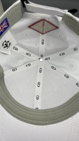 Op maat gemaakte geborduurde golf- en baseballpetten, OEM ODM, rechtstreeks van de fabriek, groothandel, gepersonaliseerde golfpetten met aangepast logo voor heren en dames