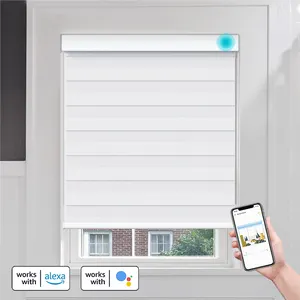 North America hot sell wifi control Smart Custom Size Blackout Zebra Roller Blinds Automatic Electric Motorized Blinds Shades